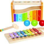 Hape – Pound & Tap Bench with Slide out Xylophone