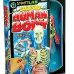 SmartLab Toys Squishy Human Body